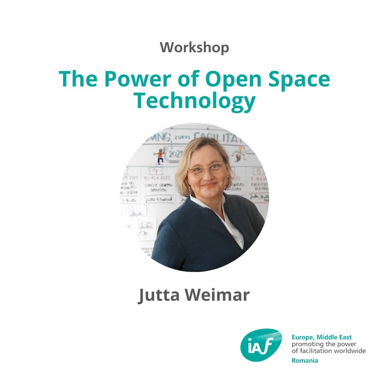 Cover Image for The Power of Open Space Technology