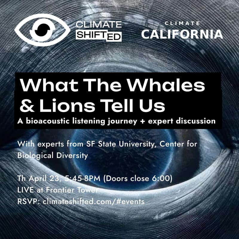 Cover Image for What The Whales & Lions Tell Us - An Immersive Listening Journey & Discussion