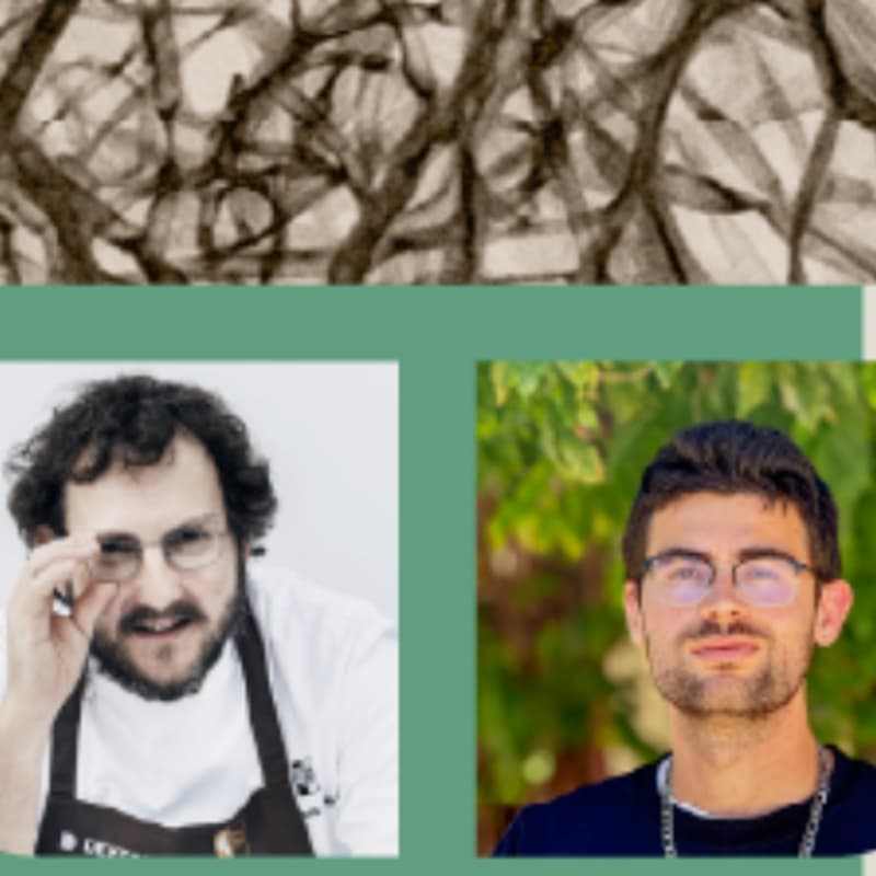 Cover Image for THE AESTHETICS OF SUSTAINABILITY: From Lab to Table and Back