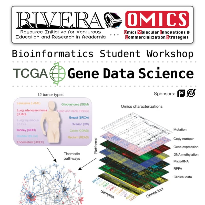 Cover Image for Bioinformatics Student Workshop: TCGA Data Science