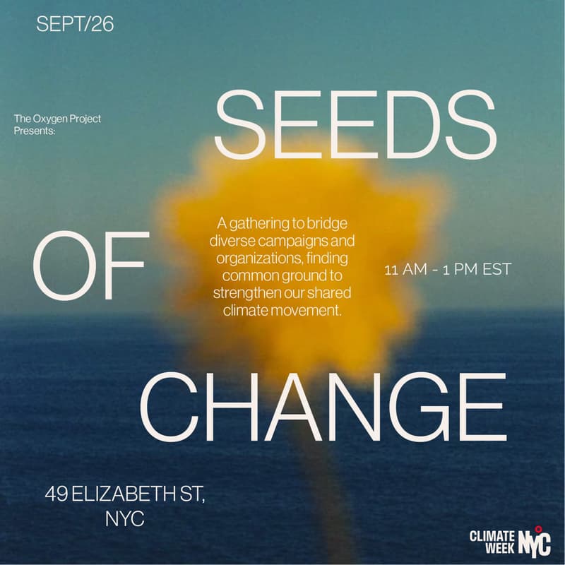 Cover Image for Seeds of Change