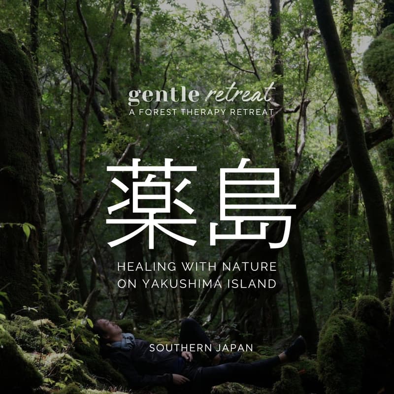 Cover Image for Japan | Yakushima Medicine Island: Oct 5 - 9 (5D4N)