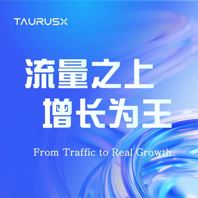 Cover Image for From Traffic to Real Growth   流量之上，增长为王
