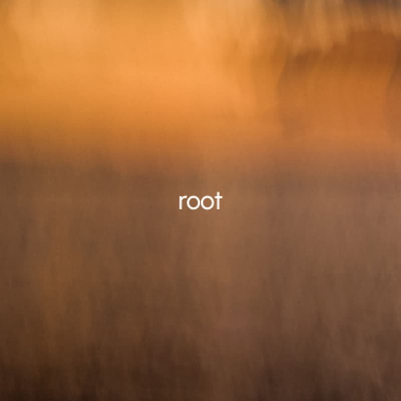 Cover Image for nervous system reset series | root: returning to center