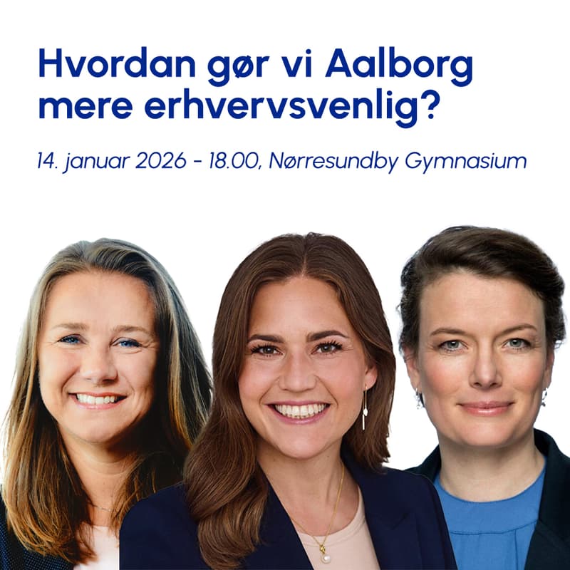 Cover Image for Hvordan gør vi Aalborg mere erhvervsvenlig?