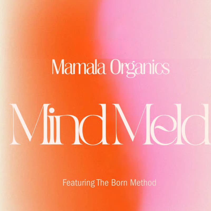Cover Image for Mamala Mind Meld x ZenHippo