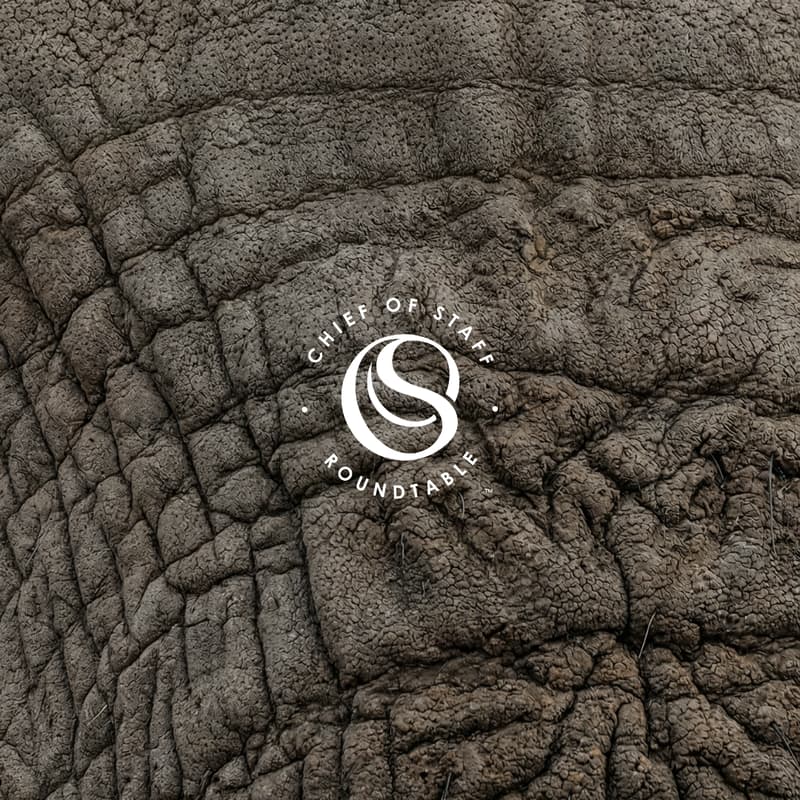 Cover Image for Elephant in the Room: Culture Problems, Unspoken Tensions, & Fixing What Leadership Won't Talk About