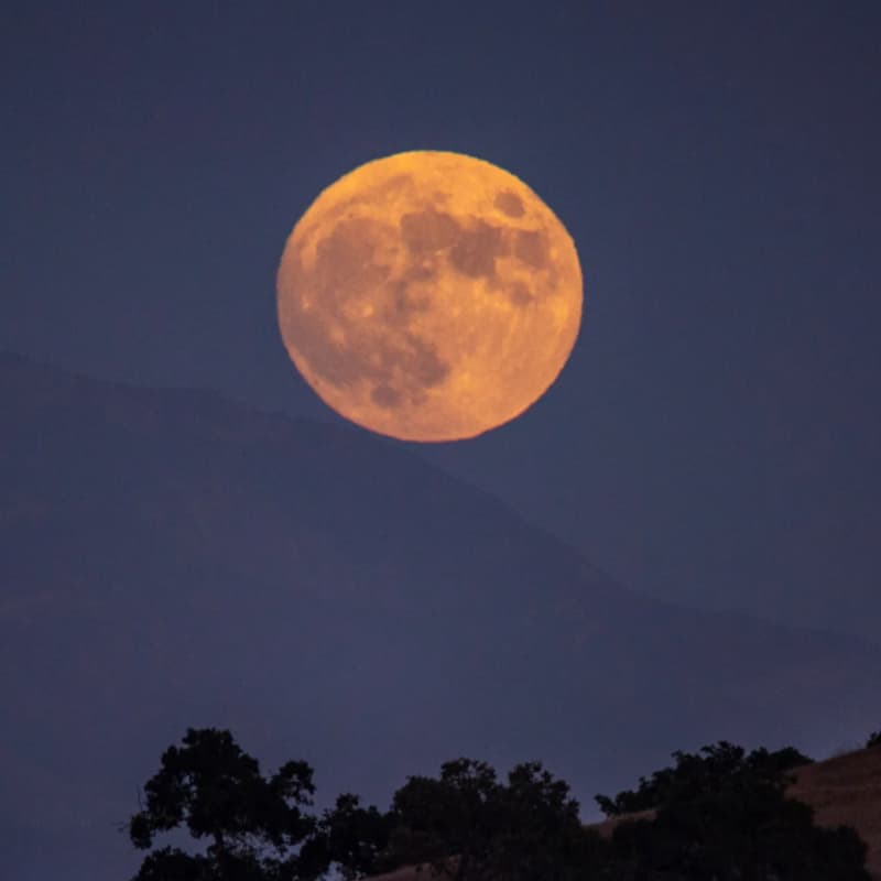 Cover Image for Transforming through love: full moon cacao and drum ceremony