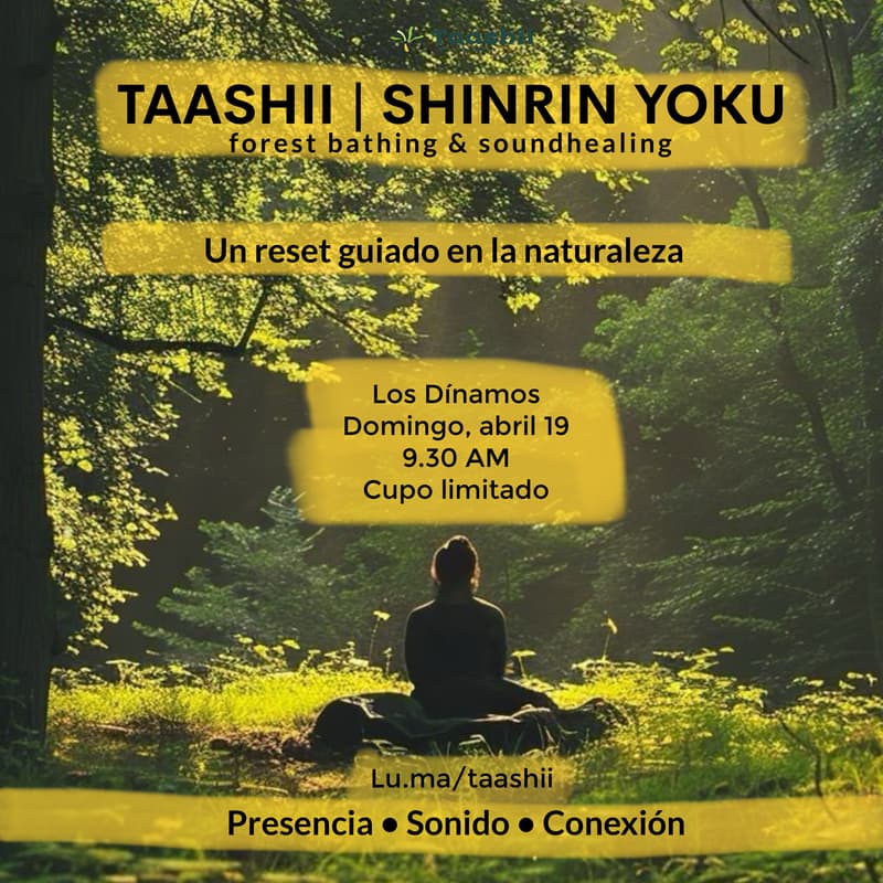 Cover Image for Shinrin Yoku - Baño de Bosque en CDMX