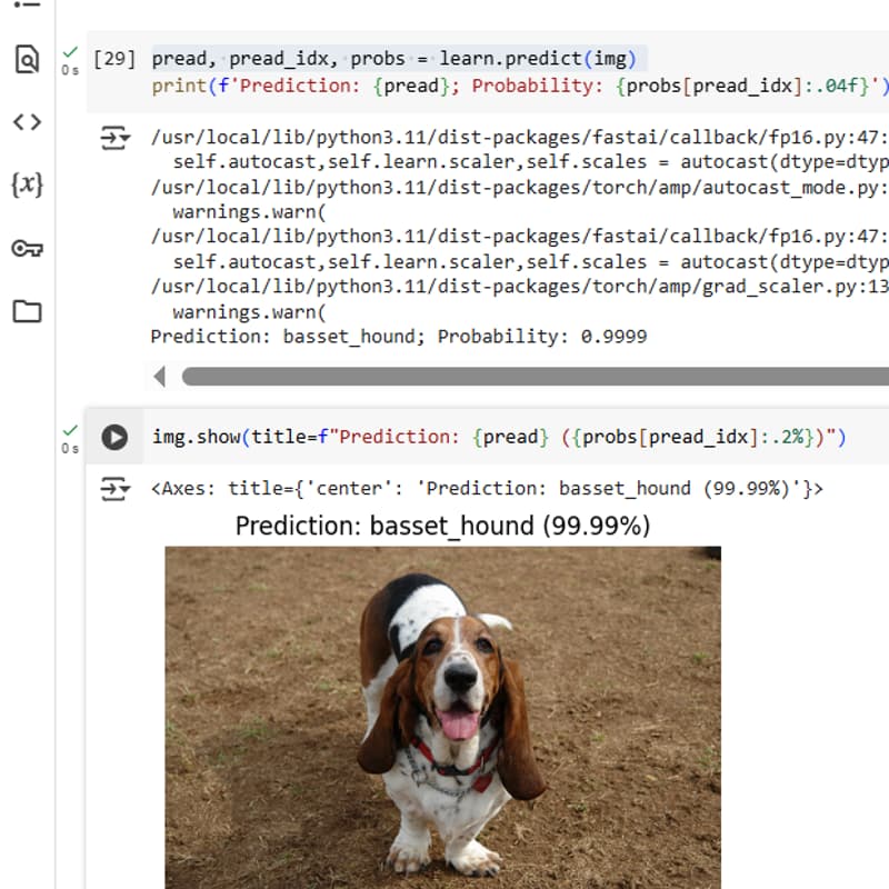 Cover Image for From Zero to Model in 72h | Breakdown + fast.ai Learnathon Onboarding