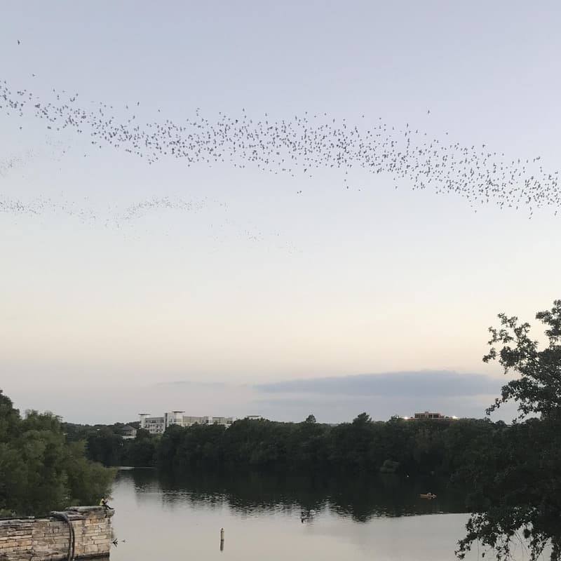 Cover Image for Bats & Bots - Sunset Boat Cruise @ RH-ISAC Summit