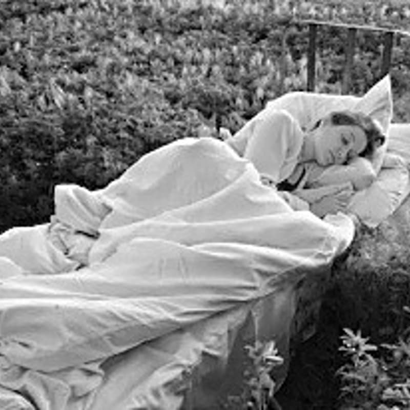 Cover Image for HARNESS THE HEAT