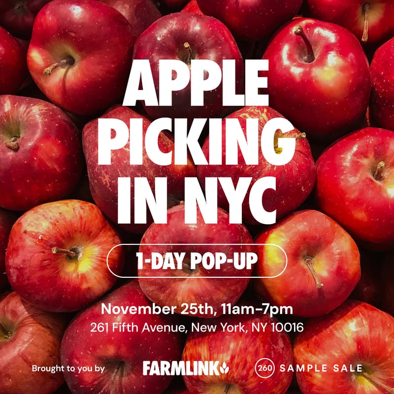 Cover Image for The Farmlink Project x 260 Sample Sale: Apple Picking in NYC