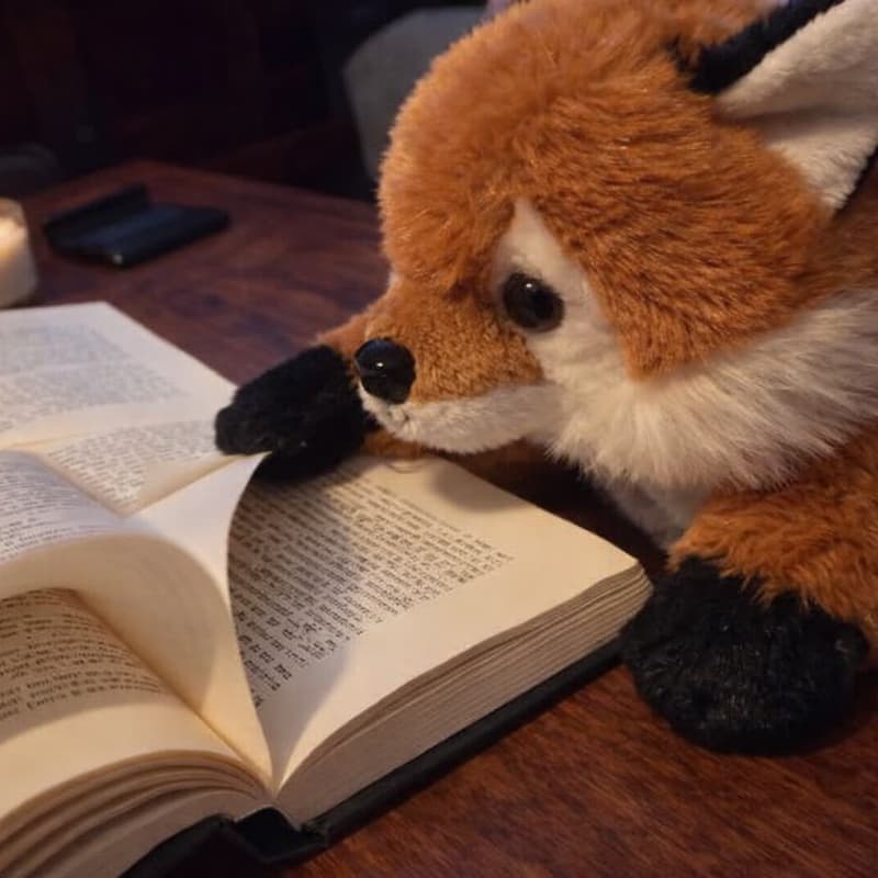 Cover Image for HBD Jasmin