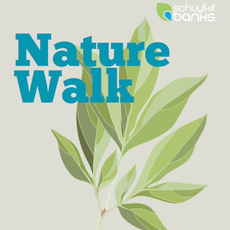 Cover Image for Spring Nature Walk on the Schuylkill River Trail