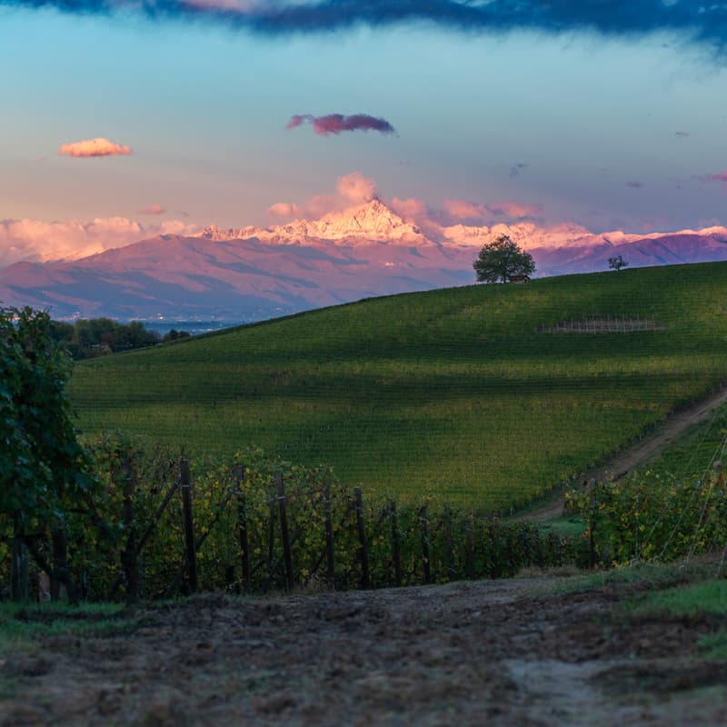 Cover Image for Martedì 14/04 | 10:30 - 11:15 | G.D. Vajra - Baudana: sei annate, una storia