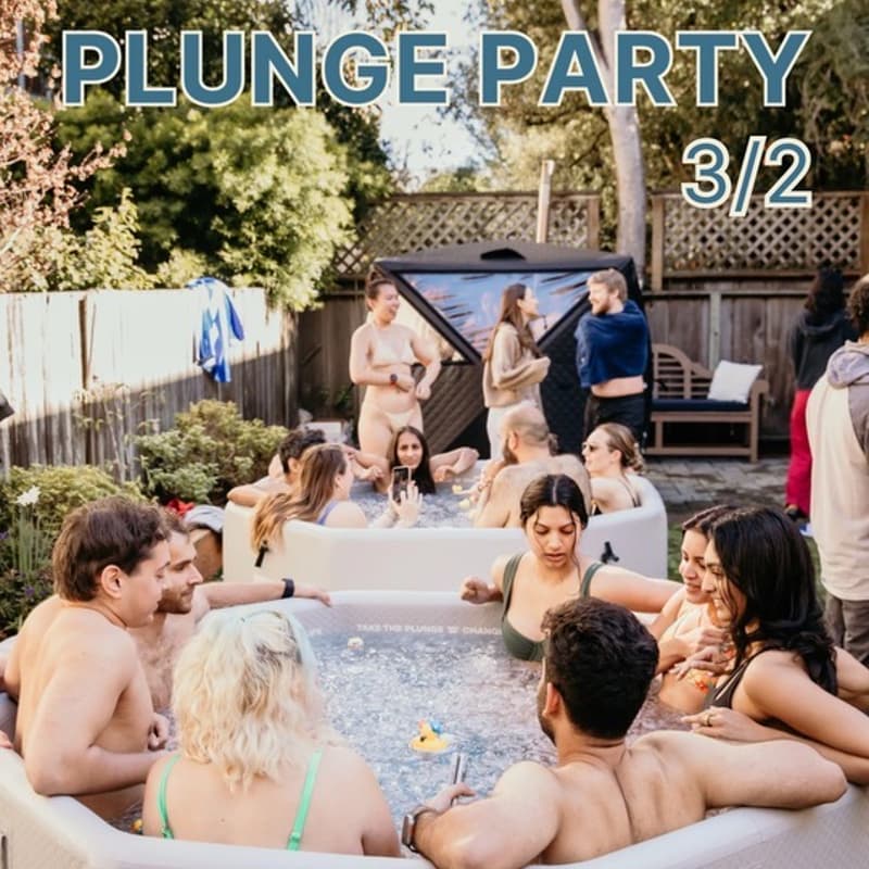 Cover Image for Plunge Party (3/2/2025)