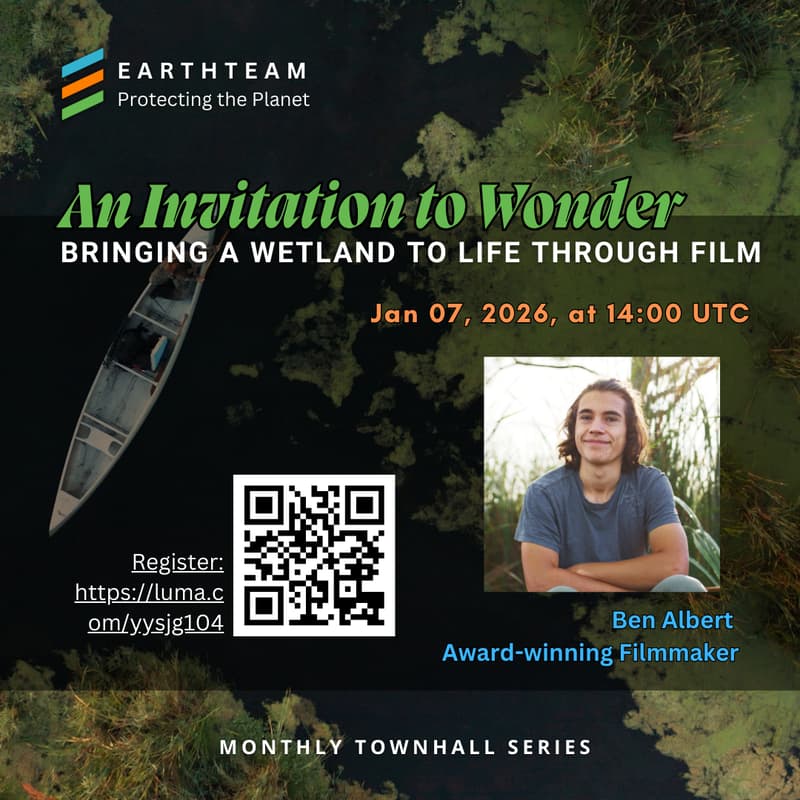 Cover Image for Bringing a Wetland to Life through Film
