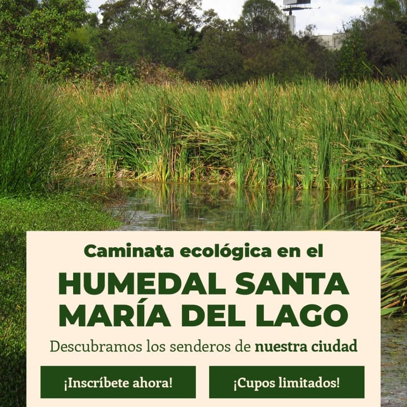 Cover Image for Recorrido en el Humedal Santa María del Lago