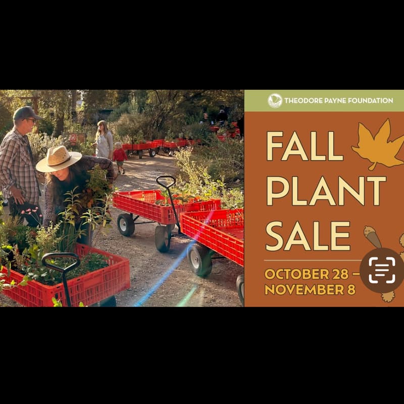 Cover Image for A Group Shopping Trip to Theodore Payne Foundation Nursery -- Last Day of the Annual Fall Sale!