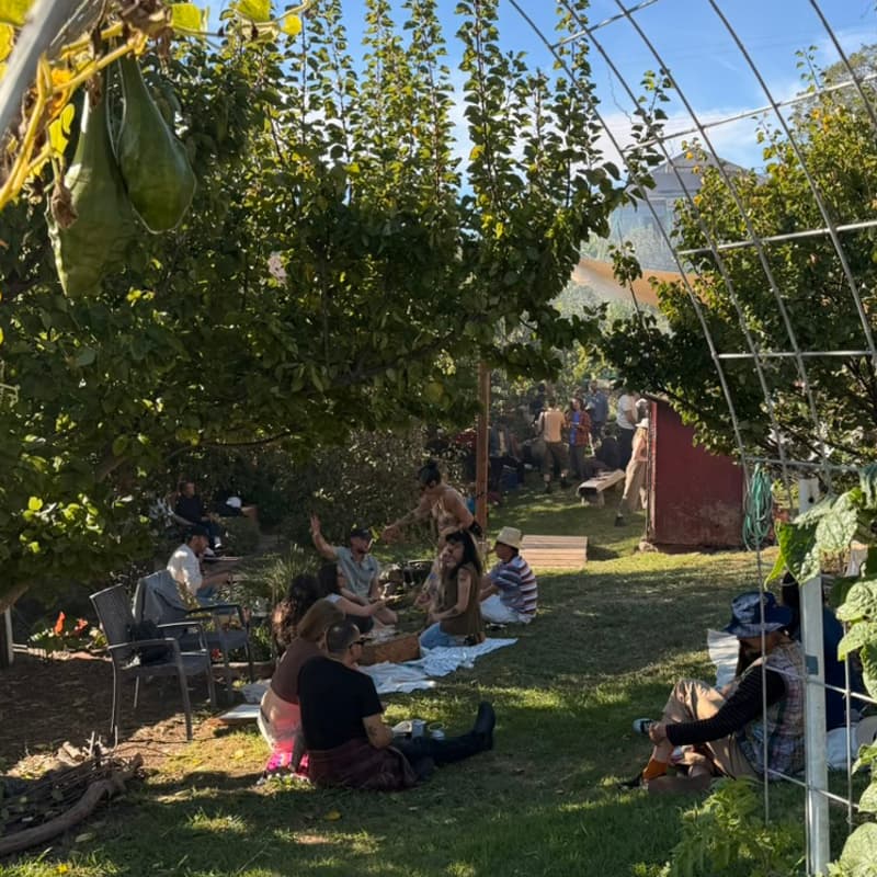 Cover Image for Fig Leaf Gardens x Local Economy: Party