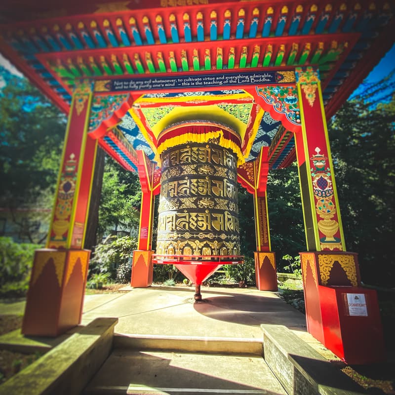 Cover Image for Pre Retreat Field Trip: Land of the Medicine Buddha (includes Lunch)