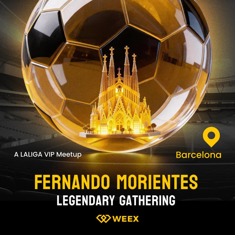 Cover Image for Fernando Morientes Legendary Night