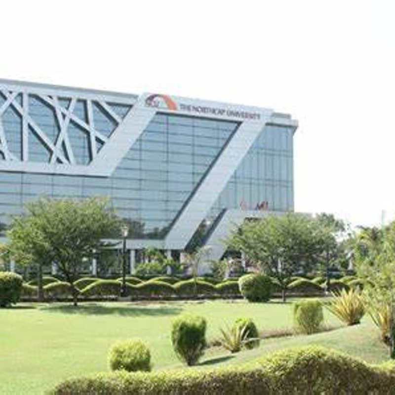 TechX- The NorthCap University (Delhi section) · Luma