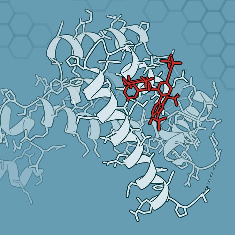Cover Image for Symposium on AI in Protein Structure, Function, and Discovery