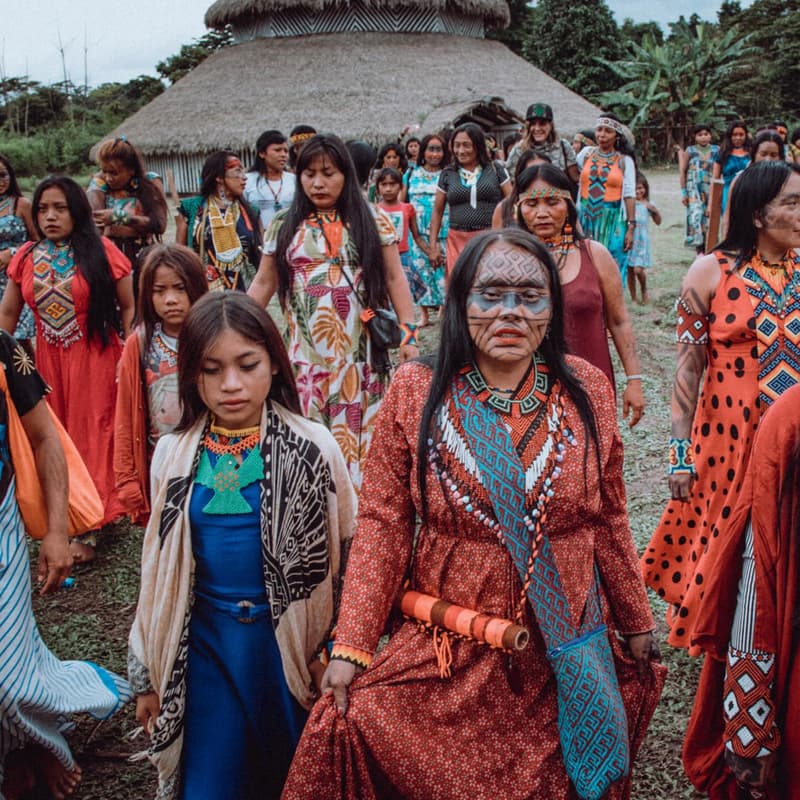 Cover Image for Meeting the Guardians of the Forest