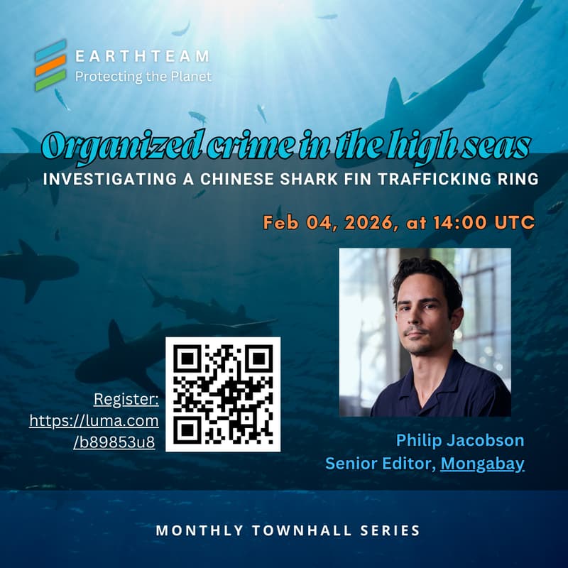 Cover Image for Organized Crime In The High Seas