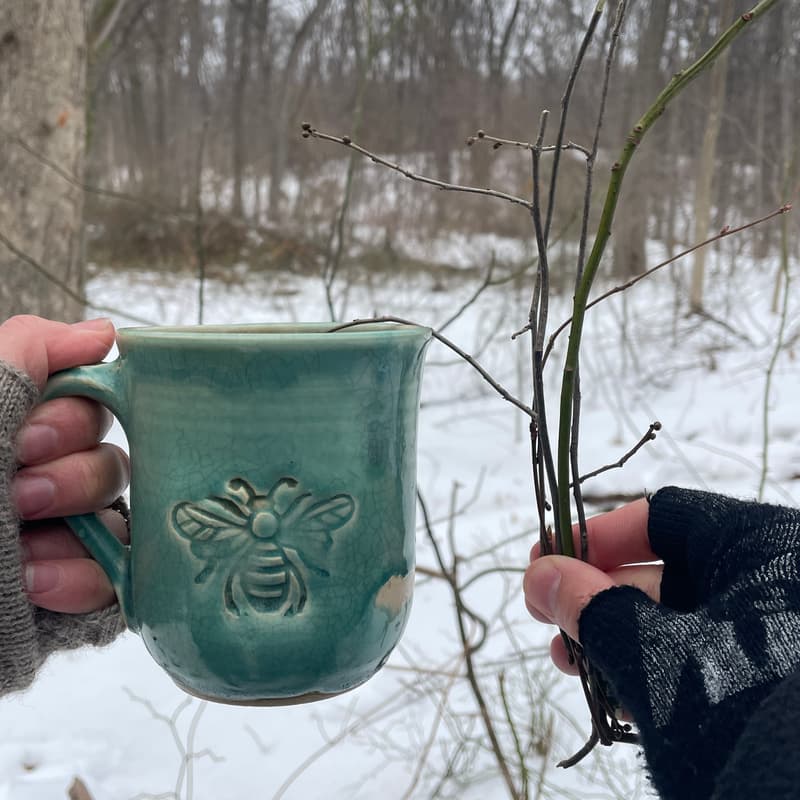 Cover Image for ๐ฟ Wild Tea Workshop: Forest Park