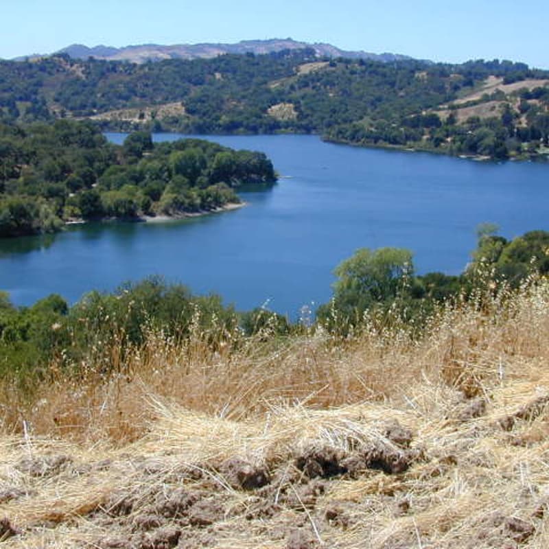 Cover Image for (East Bay) September Stroll - Lafayette Reserve Loop