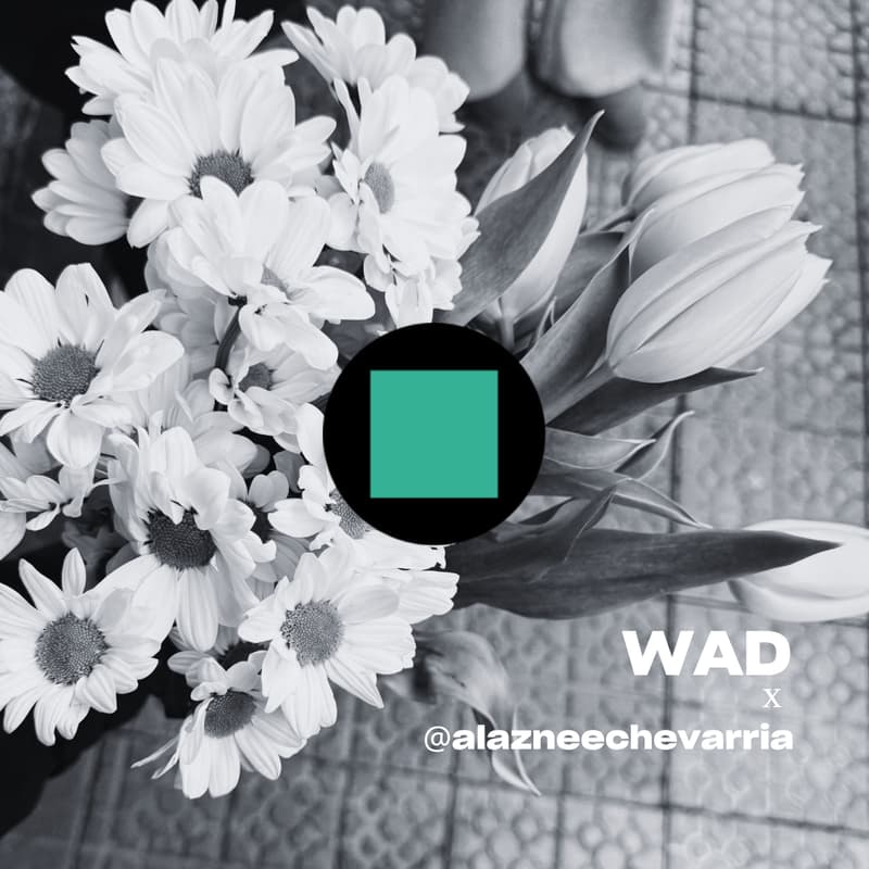 Cover Image for OFFLINE MODE: Taller creativo en la Naturaleza