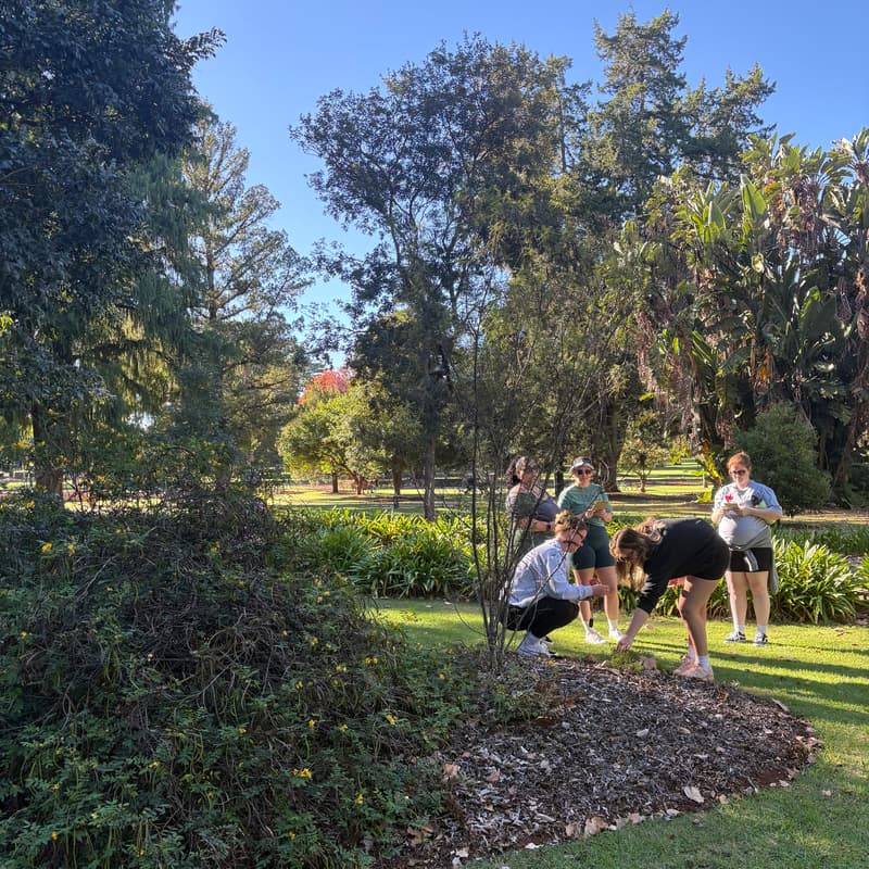 Cover Image for Walk and Talk - Session Seven!