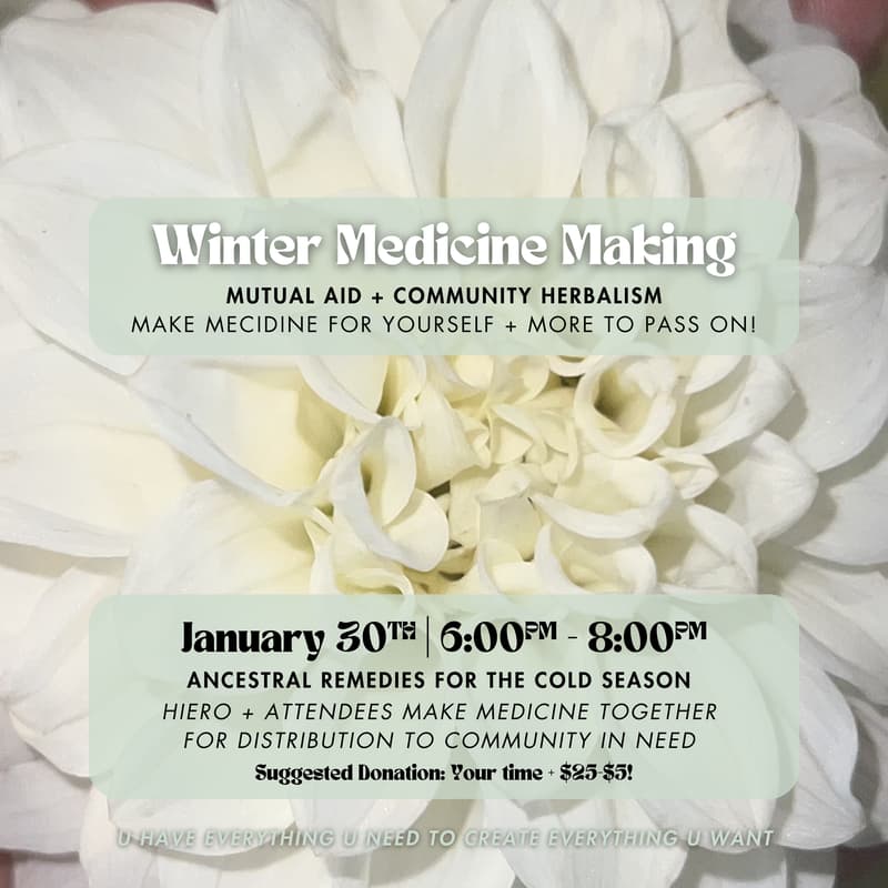 Cover Image for Winter Medicine Making