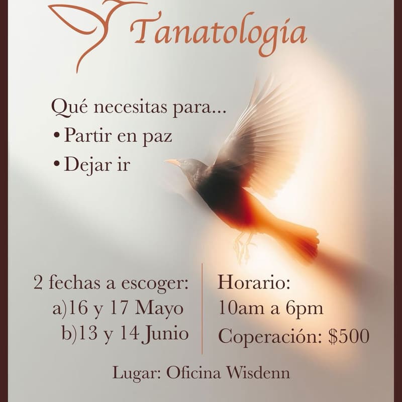 Cover Image for Taller de Tanatología — Qué necesitas para partir en paz y dejar ir