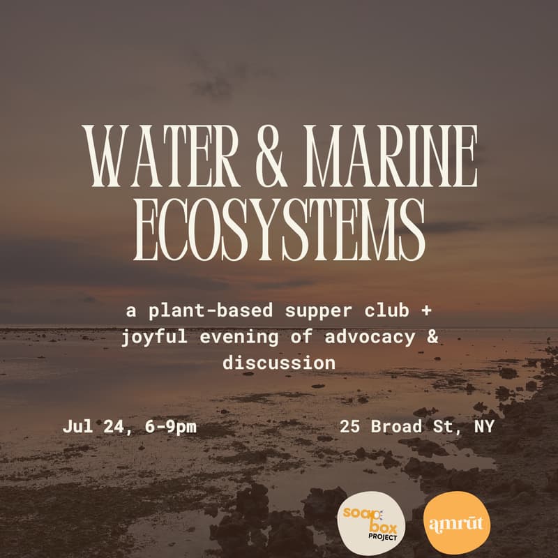 Cover Image for plant-based supper club: water & marine ecosystem