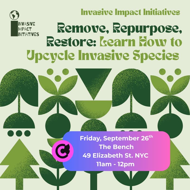 Cover Image for EcoUnderdogs: Upcycling Invasive Species with Invasive Impact