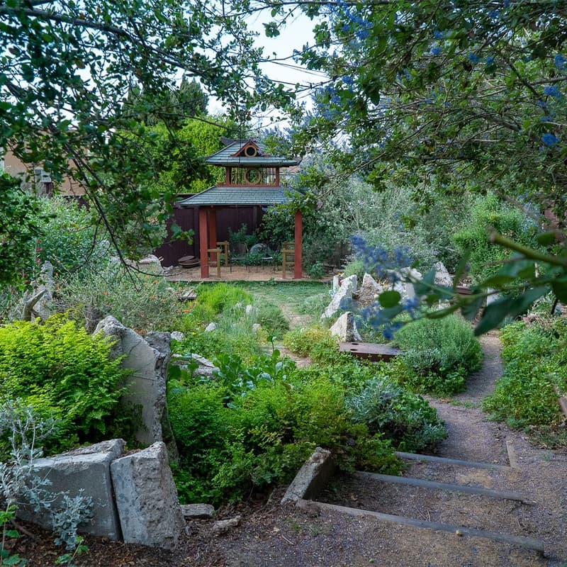 Cover Image for A Mini-Tour of Three Inspiring Mid-City Native Gardens, by Plant Native Laurel Canyon