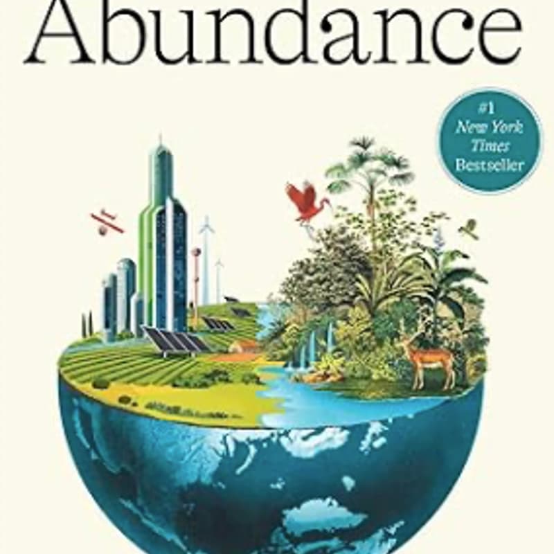 Cover Image for Book Therapy Project - Abundance