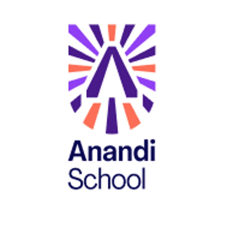 Cover Image for Early Year Pedagogy at the Anandi School