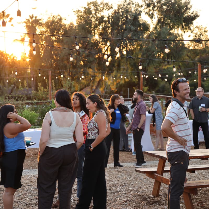 Cover Image for Beach Clean By Day, B Local By Night