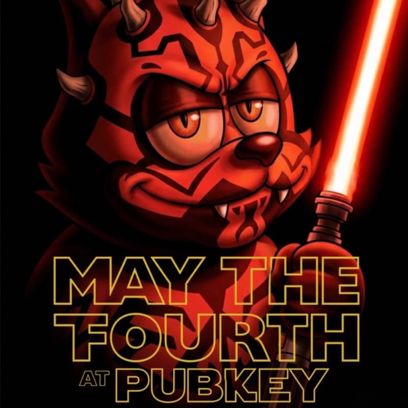 Cover Image for Celebrate Star Wars at Pubkey DC