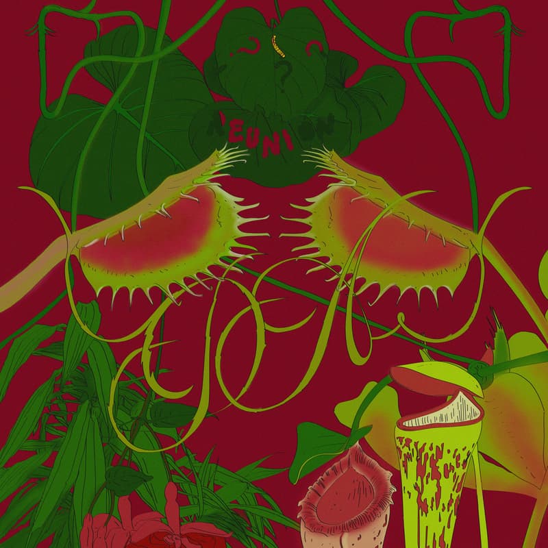 Cover Image for Dibujistas Anónimos en el Jardín Botánico