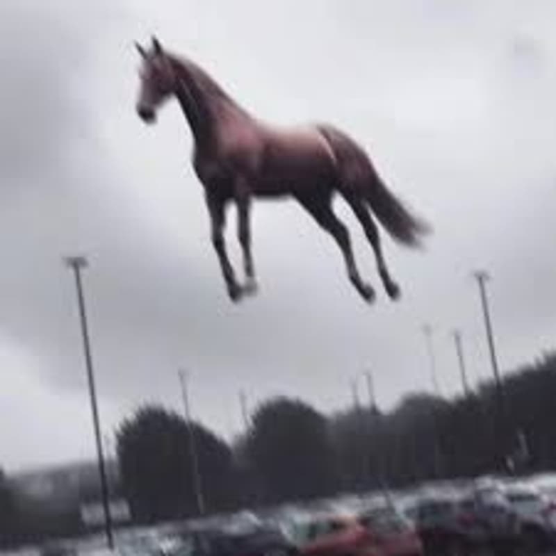 Cover Image for Zo Computer Club SF Hang (ft Zofounders Ben + Rob)