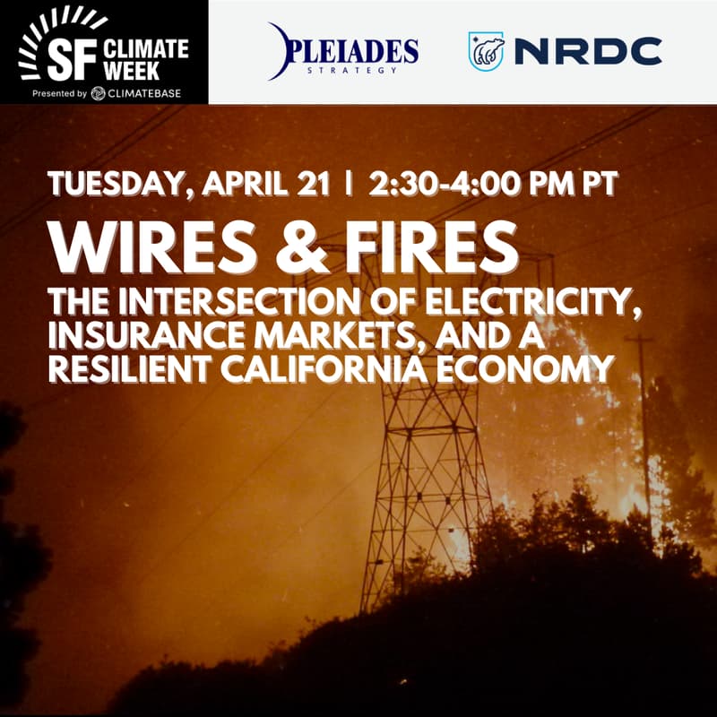 Cover Image for Wires & Fires: The Intersection of Electricity, Insurance Markets, and a Resilient California Economy