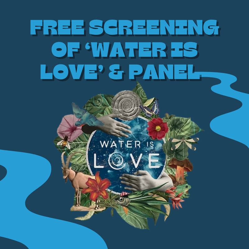 Cover Image for Screening of Water is Love & Panel: Discovering the Transformation & Collaboration that Unfold when we Focus on Water