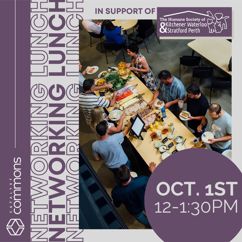 Cover Image for Member Networking Lunch