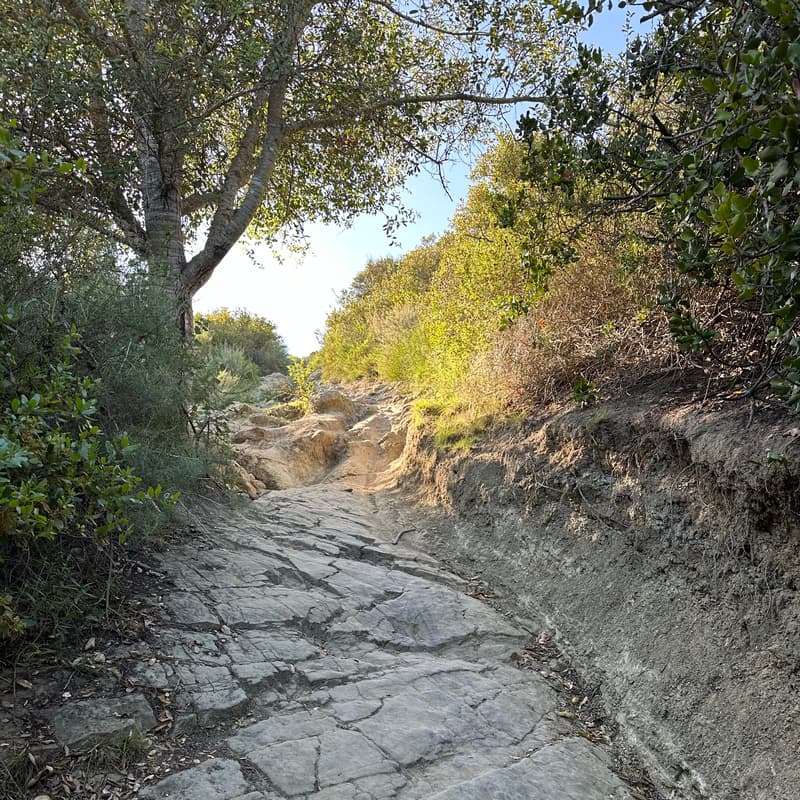 Cover Image for SoCal: Laguna Beach Hike⛰️🌊